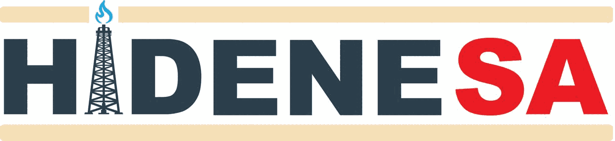Hidenesa